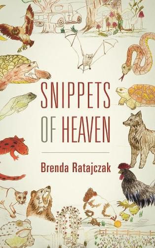 Cover image for Snippets of Heaven