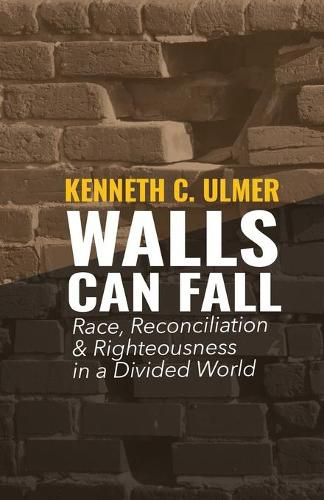 Cover image for Walls Can Fall: Race, Reconciliation & Righteousness in a Divided World