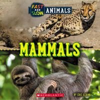 Cover image for Fast and Slow: Mammals (Wild World)