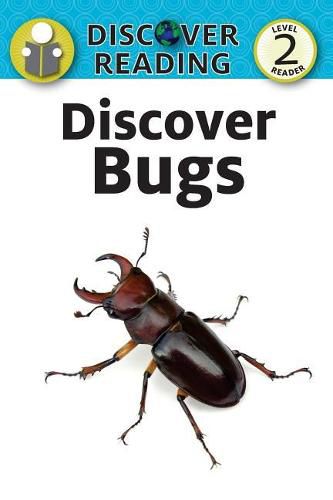 Cover image for Discover Bugs: Level 2 Reader