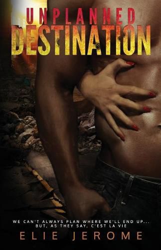 Cover image for Unplanned Destination