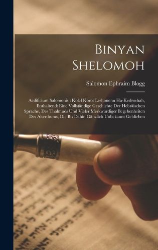 Cover image for Binyan Shelomoh