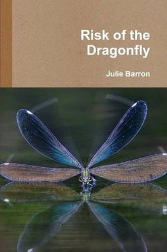 Cover image for Risk of the Dragonfly
