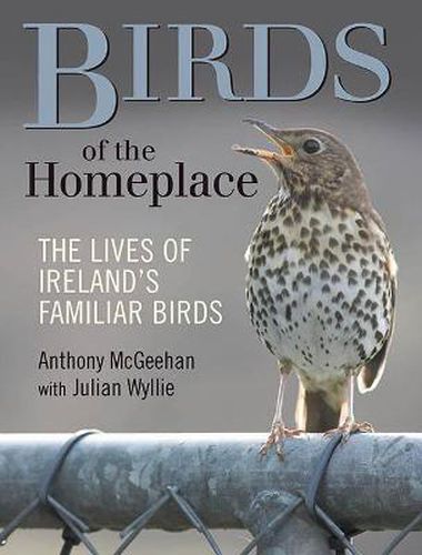 Cover image for Birds of the Homeplace