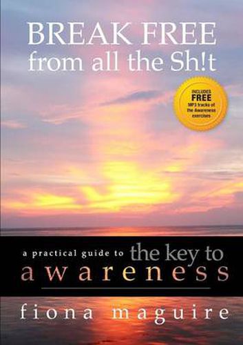 Cover image for The Key to Awareness: BREAK FREE from all the Sh!t