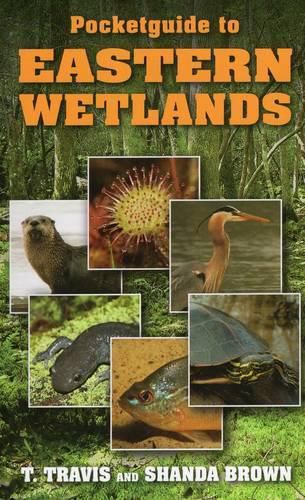 Cover image for Pocketguide to Eastern Wetlands