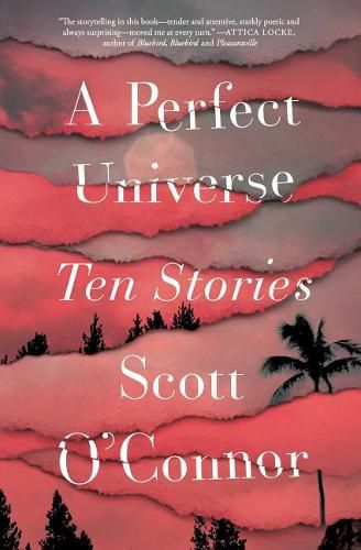 Cover image for A Perfect Universe: Ten Stories