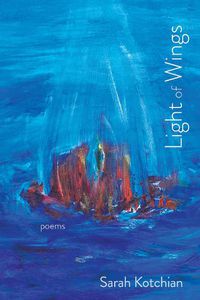 Cover image for Light of Wings