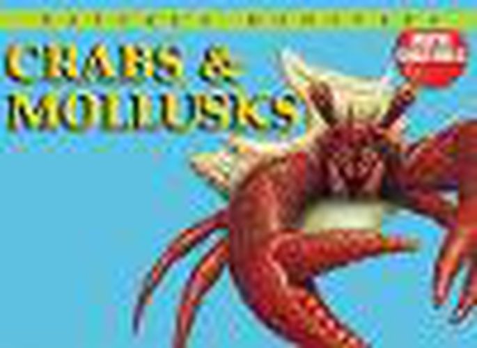 Cover image for Crabs & Mollusks