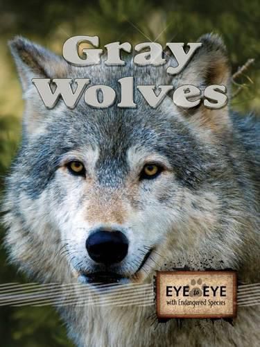 Cover image for Gray Wolves