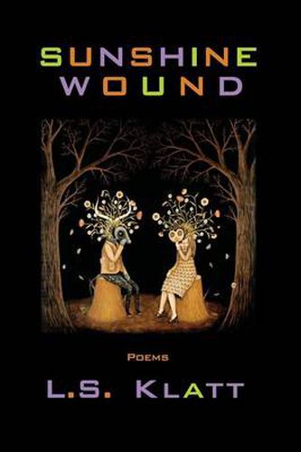 Cover image for Sunshine Wound