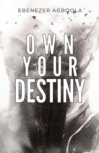 Cover image for Own Your Destiny