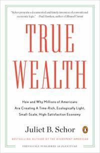 Cover image for True Wealth: How and Why Millions of Americans Are Creating a Time-Rich, Ecologically Light, Small-Scale, High-Satisfaction Economy
