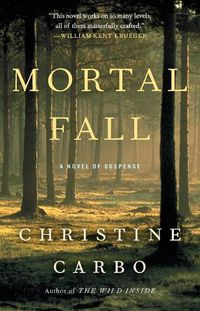 Cover image for Mortal Fall: A Novel of Suspense