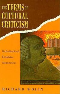 Cover image for The Terms of Cultural Criticism: The Frankfurt School, Existentialism, Poststructuralism