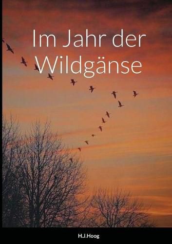 Cover image for Im Jahr der Wildganse