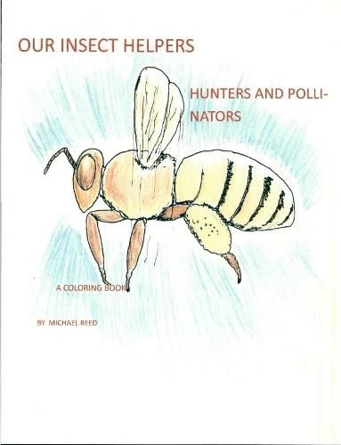 Our Insect Helpers: Hunters and Pollinators