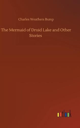 Cover image for The Mermaid of Druid Lake and Other Stories