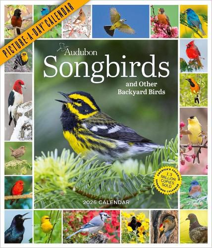 Cover image for Audubon Songbirds And Other Backyard Birds Picture-A-Day (R) Wall Calendar 2026