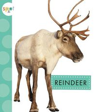 Cover image for Reindeer