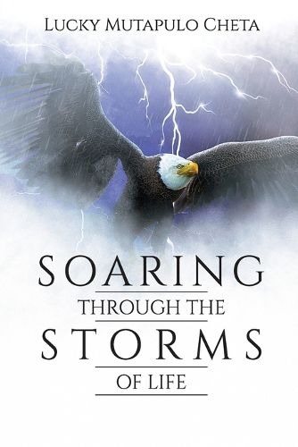 Cover image for Soaring Through the Storms of Life