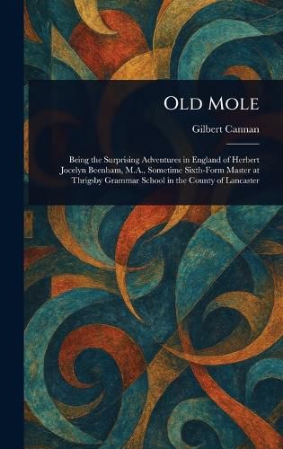 Cover image for Old Mole