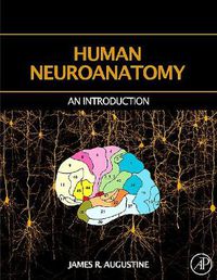 Cover image for Human Neuroanatomy