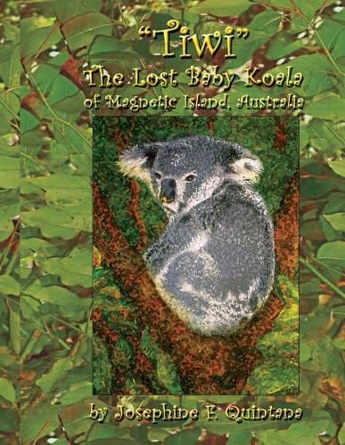 Cover image for Tiwi, the Lost Baby Koala of Magnetic Island, Australia