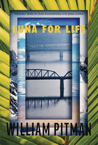 Cover image for Luna for Life