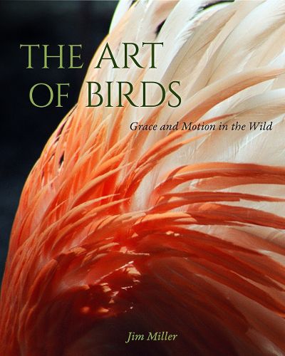 Cover image for The Art of Birds: Grace and Motion in the Wild