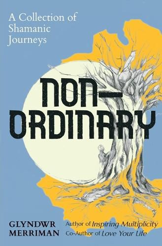 Cover image for Non-Ordinary
