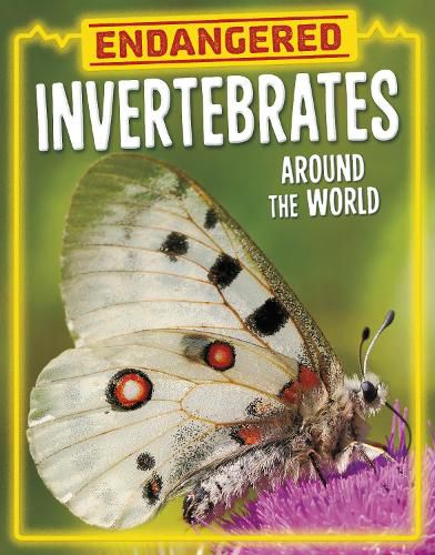 Cover image for Endangered Invertebrates Around the World