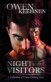 Cover image for Night Visitors