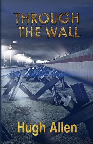 Cover image for Through the Wall