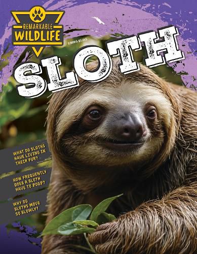 Cover image for Sloth