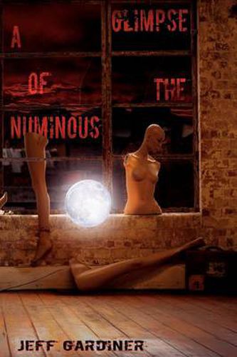 Cover image for A Glimpse of the Numinous (Paperback)