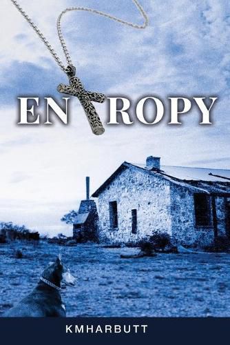 Cover image for Entropy: a storm inside