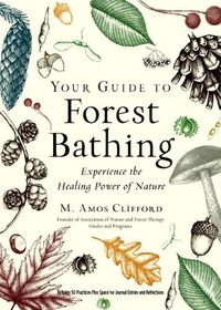 Cover image for Your Guide to Forest Bathing (Expanded Edition): Experience the Healing Power of Nature Includes 50 Practices Plus Space for Journal Entries and Reflections