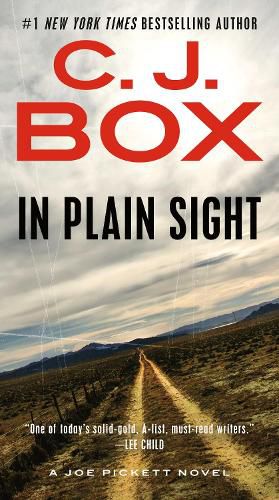 Cover image for In Plain Sight