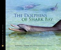 Cover image for Dolphins of Shark Bay