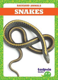 Cover image for Snakes