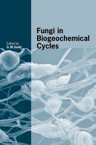 Cover image for Fungi in Biogeochemical Cycles