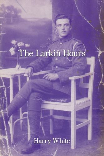 Cover image for The Larkin Hours