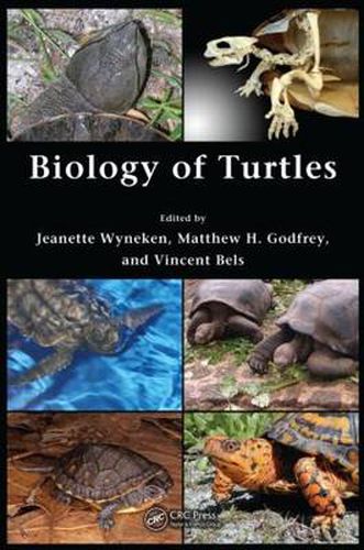 Cover image for Biology of Turtles: From Structures to Strategies of Life