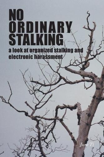Cover image for No Ordinary Stalking: a look at organized stalking and electronic harassment