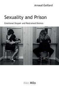 Cover image for Sexuality and Prison