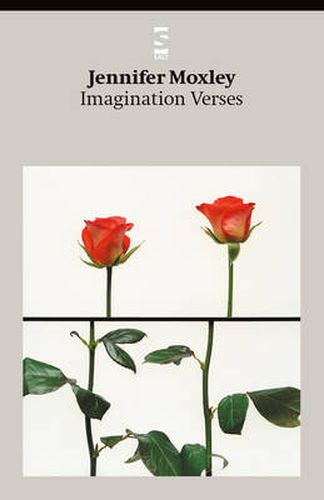 Cover image for Imagination Verses