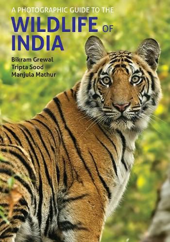 Cover image for A Photographic Guide to the Wildlife of India