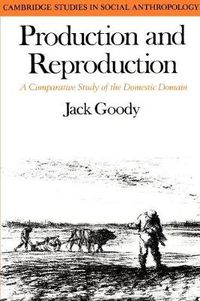 Cover image for Production and Reproduction: A Comparative Study of the Domestic Domain