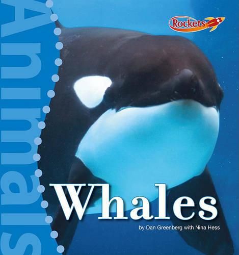 Cover image for Whales